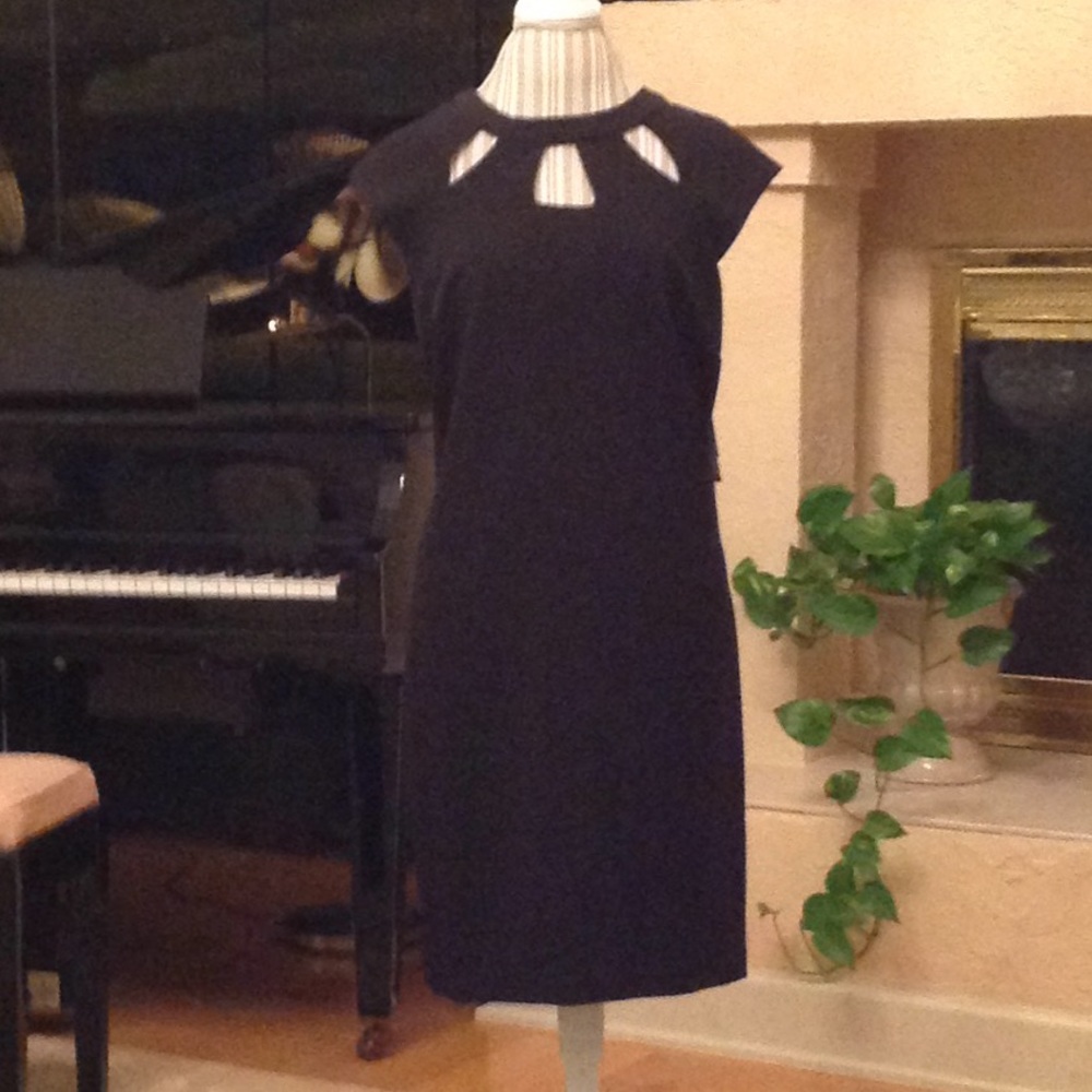Figure flattering little black dress.